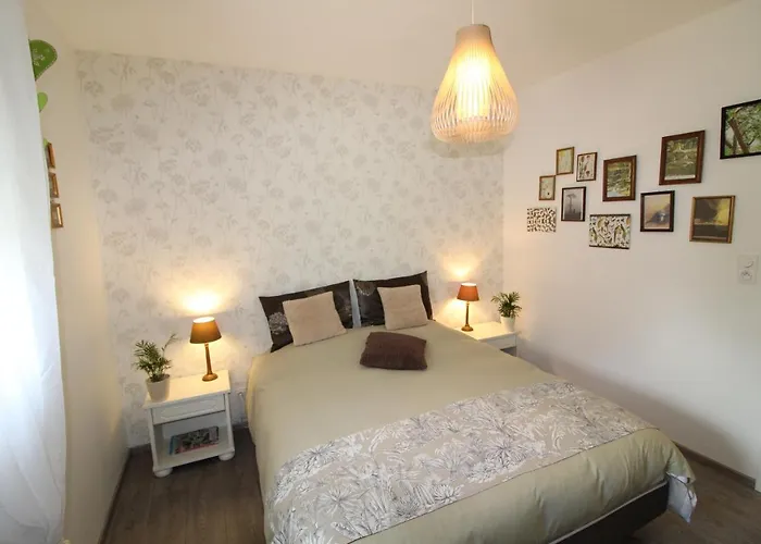 Gite Carnot Dompaire photo
