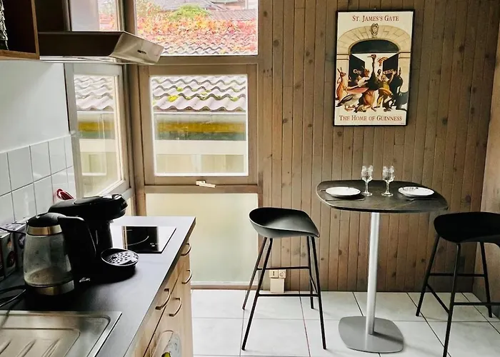 Joli T1 Chez Doudou Plein Centre-Ville Au Calme, Vue Jardin Rambervillers Foto