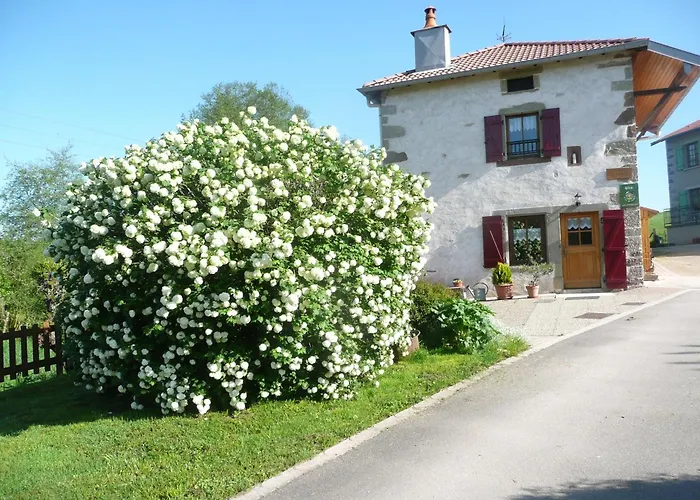 Gite Tranquille Avec Cheminee, Terrasse Sur La Saone Et Borne Ev, Animaux Bienvenus - Fr-1-589-103 Nonville fotorgafie