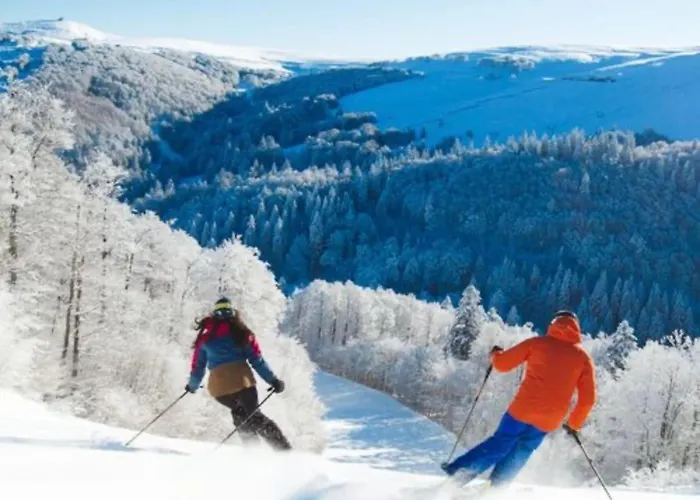 Dependance Privee Avec Spa Et Piscine Allarmont photo