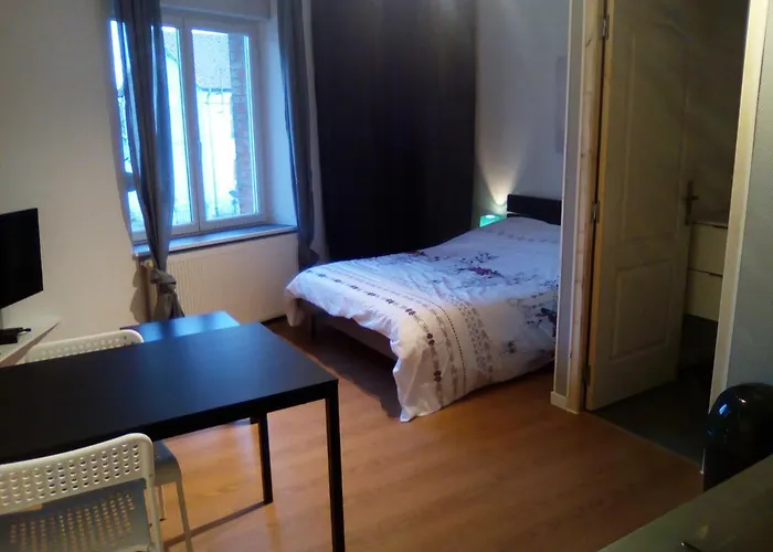 Studio 18M2 Tout Confort N°3 Apartment Etain photo